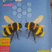 کتاب خیلی سبز نهم نیزهوشان