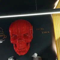 اسکلت پارامتریک|مجسمه، تندیس، ماکت|همدان, |دیوار