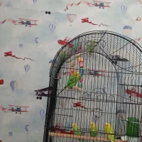 فروش مرغ عشق