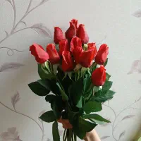 گل رز قرمز|گل مصنوعی|شاهرود, |دیوار