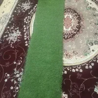 ریسه|ریسه و چراغ تزئینی|اسلامآباد غرب, |دیوار