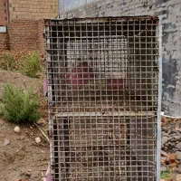 قفس جفتگاه ۶تایی