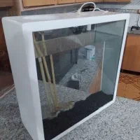 اکواریوم مدرن|ماهی|کرمان, |دیوار