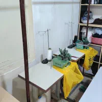 رگال