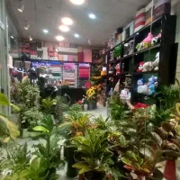 واگذاری و فروش|فروشگاه و مغازه|لاهیجان, قیام|دیوار