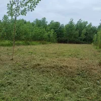 زمین-باغی