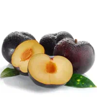 نهال آلو شابلون درخت سودمند، گلخانه، نهالستان