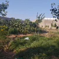 زمین در بیلوردی املاک ولیعصر|فروش زمین و ملک کلنگی|خواجه, |دیوار