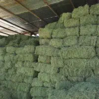 پرس یونجه عالی