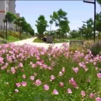 ۱۰۸متر ۲خواب همراهشهر|فروش آپارتمان|تهران, شهرک آتی شهر|دیوار