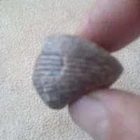 سنگ  اسمانی|کلکسیون اشیاء عتیقه|دماوند, گیلاوند|دیوار