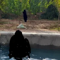 ویلا-نیمه-ساز
