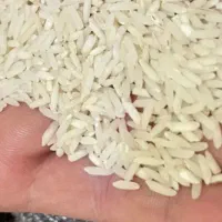 برنج ایرانی|خوردنی و آشامیدنی|تهران, شوش (باغ آذری)|دیوار