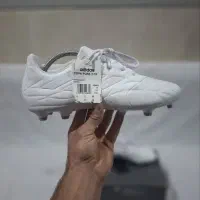 تعدادی کفش استوک فوتبال چمن اورجینال اصل به شرط|کیف، کفش، کمربند|بهارستان, |دیوار