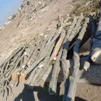 فروش چوب تر|گل و گیاه طبیعی|الوند, |دیوار