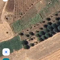 فروش زمین کشاورزی نرسیده به کانی میران|فروش زمین و ملک کلنگی|خاو و میرآباد, |دیوار