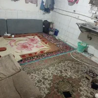 یه هم خونه نیاز دارم