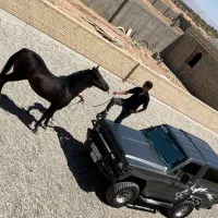 پاترول دو در|خودرو سواری و وانت|یزد, |دیوار