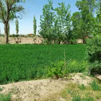 زمین-کشاورزی