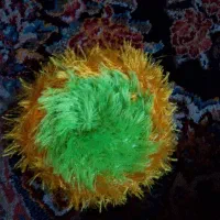 فروش اسکاج