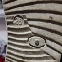 کفش ضدآب|کفش و لباس بچه|خوی, |دیوار