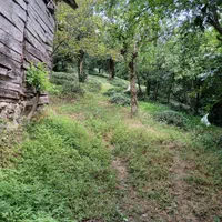 زمین کشاورزی با کاربری ۶۰۰متر ویوابدی.