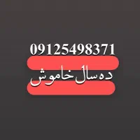 09125498371 فروشی