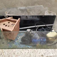 آکواریوم و لوازم داخلش