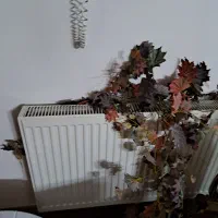 بوته پاییزی