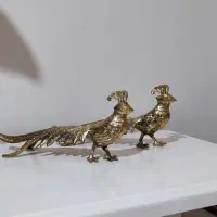 طاووس برنزی