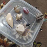 مهره های قدیمی