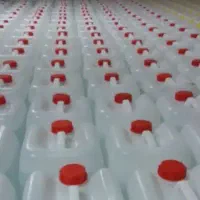 نعنا با بهترین کیفیت فروش  عمده