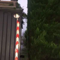 هرصکاری قطع وخریددرخت مزاحم درمحل|خدمات باغبانی و درختکاری|چمستان, |دیوار