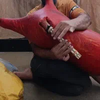 پوست نی انبان سایز بزرگ خوش استایل بدون دسته