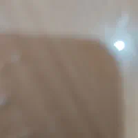 ی لنگه گوشواره پیدا شده