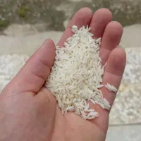 برنج|خوردنی و آشامیدنی|تهران, آرارات|دیوار