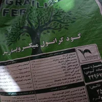 کود میکرو پارس|گل و گیاه طبیعی|نیمروز, |دیوار