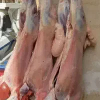 قصابی در محل
