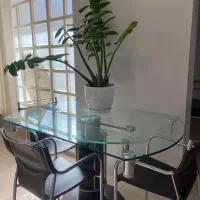 میز نهار خوری همراه با صندلی