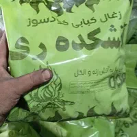 ذغال خودسوز
