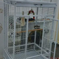 قفس بزرگ کاسکو