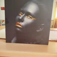 تابلو شاسی زن