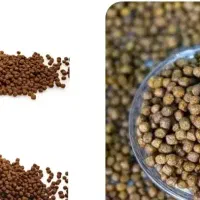 غذای ماهی گلدفیش کپور گوشتخوارگیاه خوار اسکار