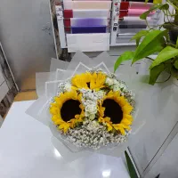 انواع ماشین عروس|گل مصنوعی|گلپایگان, |دیوار