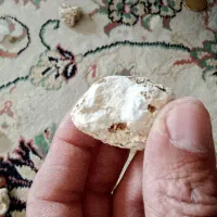 تعدادی سنگ بفروش میرسد