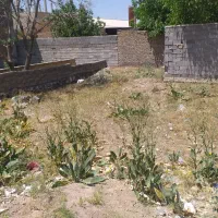 زمین جای خوب و خوش آب و هوا قولنامه ای
