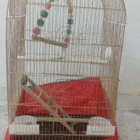 قفس پرنده بزرگ