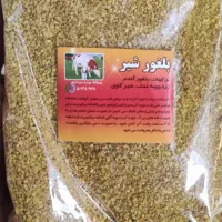 رشته اش بلغورشیر ابلیمو آبغوره|خوردنی و آشامیدنی|مشهد, نوید|دیوار