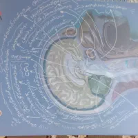 کتاب کنکوری