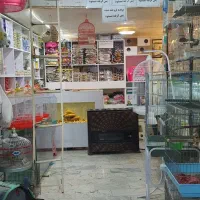 پرنده سرای فتحی